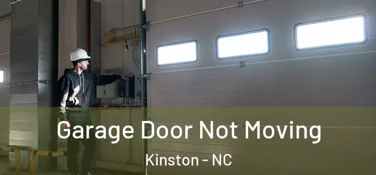  Garage Door Not Moving Kinston - NC